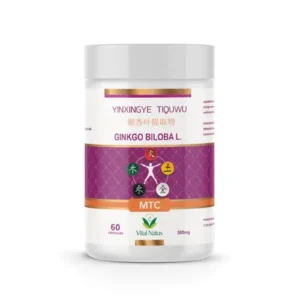 Ginkgo Biloba Suplemento Alimentar 60 Cápsulas 500mg - Vital Natus